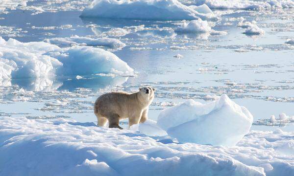 Vereistes Grönland: ein Hotspot der Klimakrise.