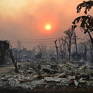 Das sogenannte „Sunset Fire“ frisst sich - genährt von Wind und trockener Vegetation - durch die Hollywood Hills in Los Angeles.