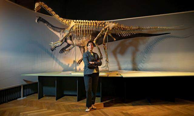 Ihre Diplomarbeit verfasste Katrin Vohland über Marienkäfer, heute posiert die Direktorin vor einem sechs Meter langen Dinosaurierskelett in „ihrem“ Haus. 