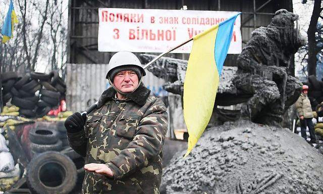 Flagge zeigen: Anti-Regierungsdemonstrant auf dem Kiewer Maidan