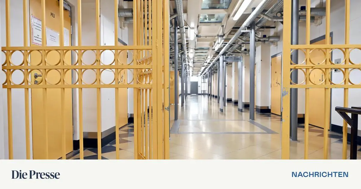 Live-Streaming-von-Kindesmissbrauch-Nieder-sterreichischer-Beamter-in-U-Haft