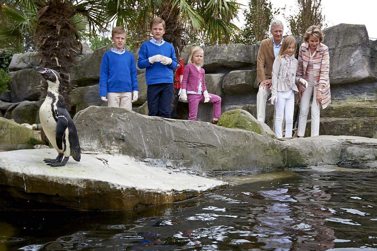 Von Prinzen und Pinguinen. K&ouml;nig Philippe und K&ouml;nigin Mathilde von Belgien waren mit ihren Kindern im Zoo - der royale Vorteil: diese Familie kommt auch hinter die Absperrung.  12. Juli 2014