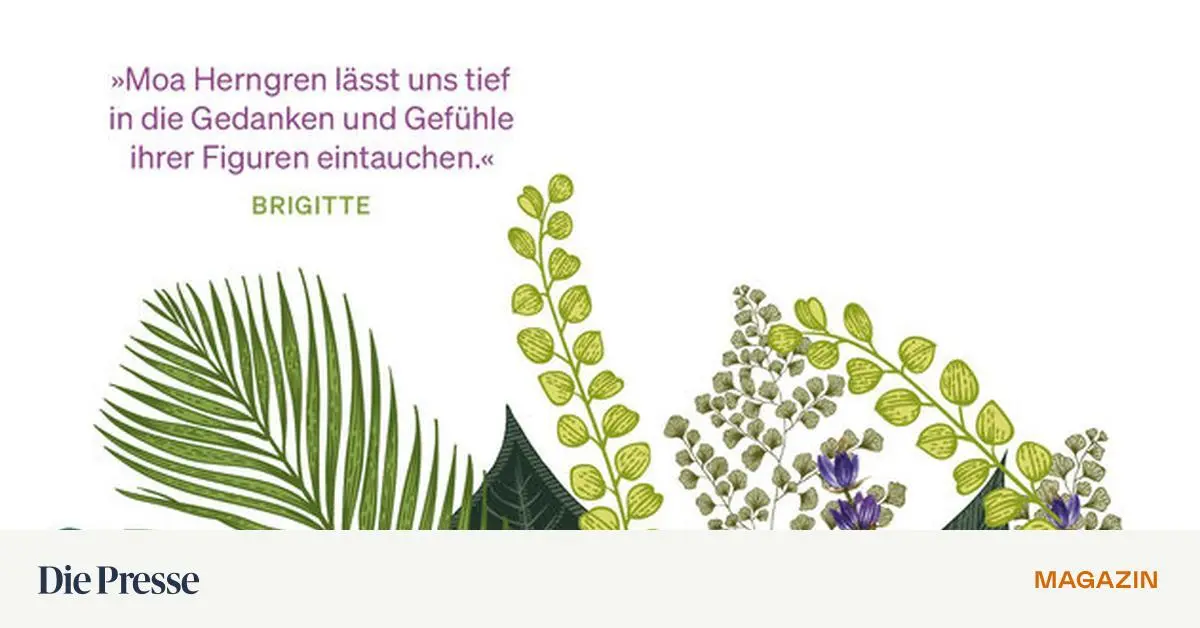 Moa-Herngren-Die-Schwiegermutter-wollte-doch-einfach-nur-nett-sein-premium-