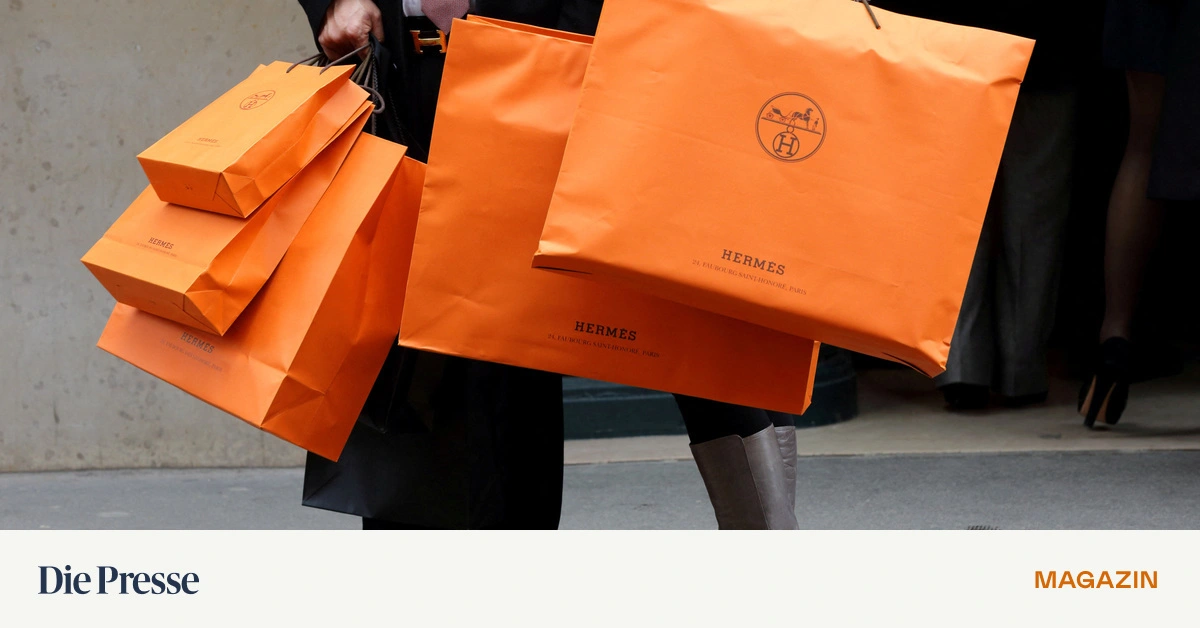 Warum-man-diese-Taschen-erst-nach-Jahren-kaufen-darf-premium-