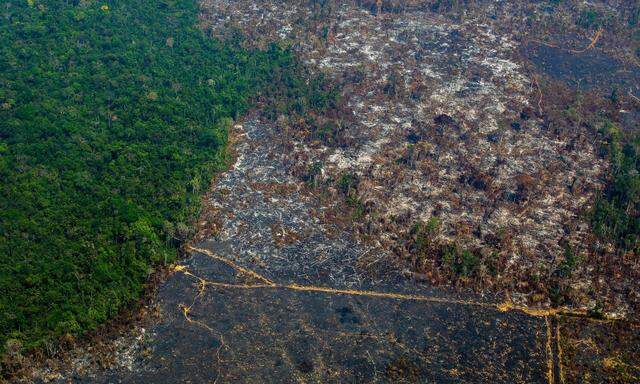 Kritiker argumentieren, dass der Vertrag zu großflächigen Abholzung und dramatischen Waldbränden im Amazonasgebiet führen würde.