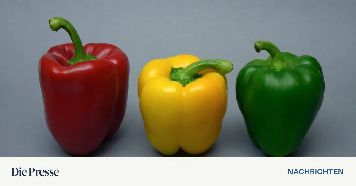 Mechasysquantastischl