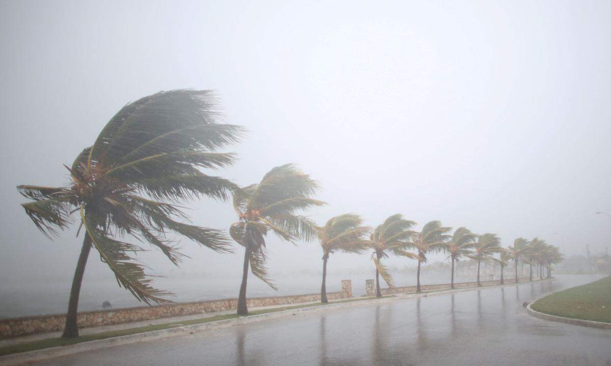 "Irma" ist in Kuba auf Land getroffen und mittlerweile auf die Größe von Texas angewachsen. Er dürfte demnächst Florida erreichen, wo bereits 5,6 Millionen Menschen zur Evakuierung aufgerufen wurden (9.September). 