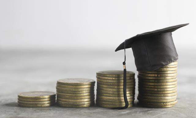 Im Gegensatz zum restlichen Hochschulsektor können die Privatuniversitäten ihre Studiengebühren frei festlegen. 