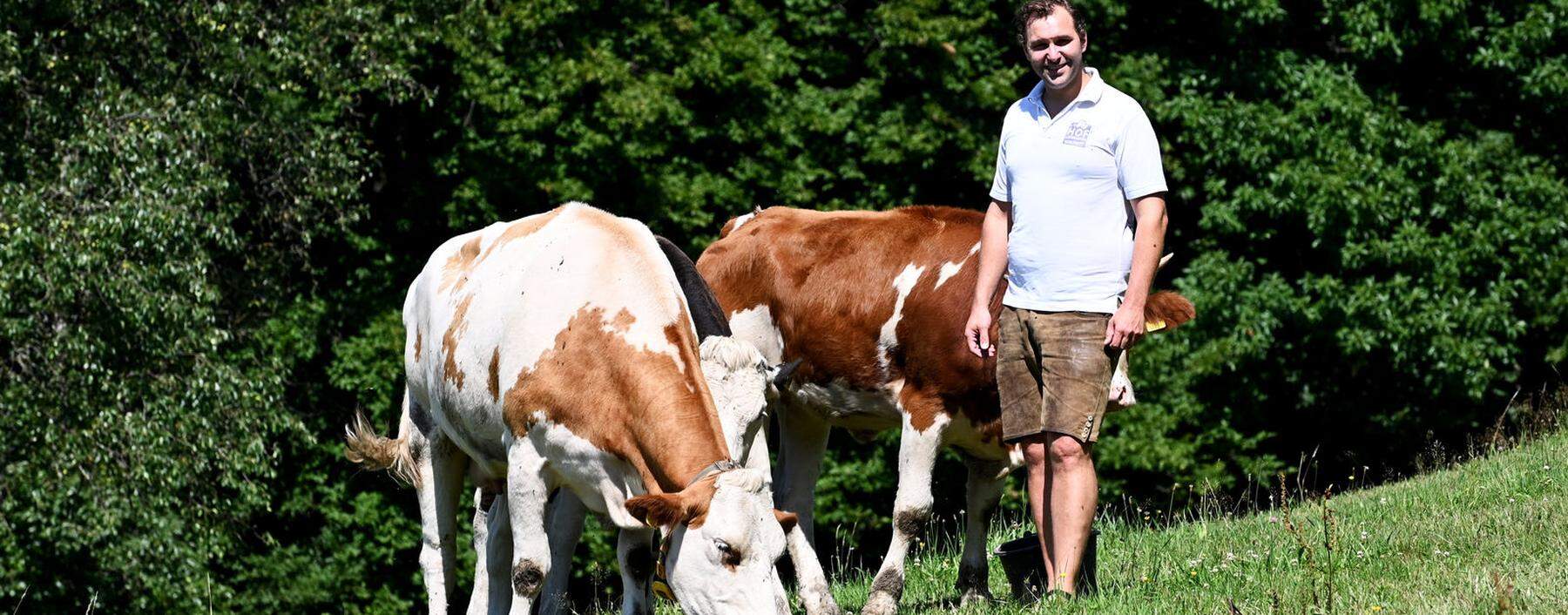 Johann Bertl hält rund 40 Kühe, teilweise auf der Weide (großes Bild) sowie im „Fünf-Sterne-Kuhstall“, wie er ihn nennt. Dieser ist mit Stroh ausgelegt und bietet viele Freiflächen. Aus der Milch werden Schulmilch, Joghurt, Butter, Topfen und Käse gemacht.