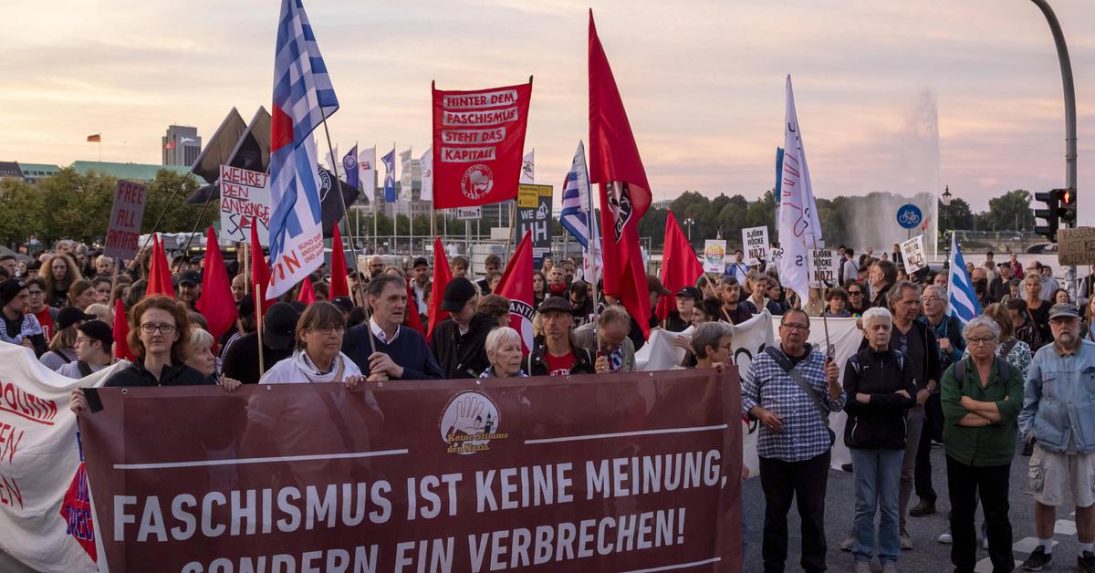 Hundreds demonstrate against AfD in Hamburg