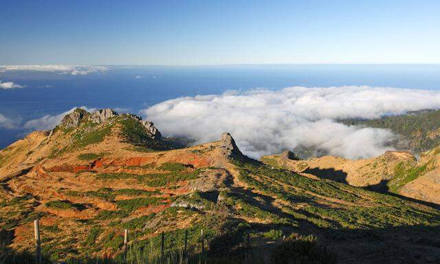 Madeira von oben