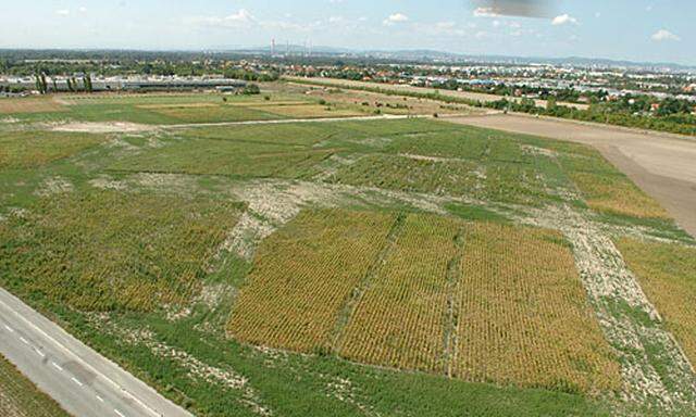 2014 sollen am Flugfeld Aspern die ersten Wohnbauten stehen.