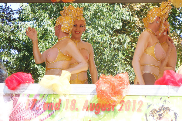 Im Anschluss an die Parade fand am Rathausplatz die Schlusskundgebung in Form einer "Pride Show" statt. Diese startete um 18.00 Uhr.