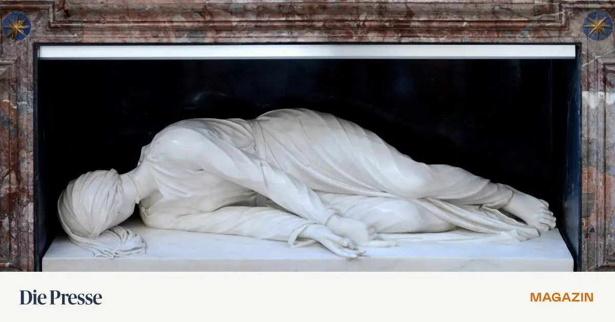 stefan-hertmans-coole-distanziertheit-ist-feige-premium