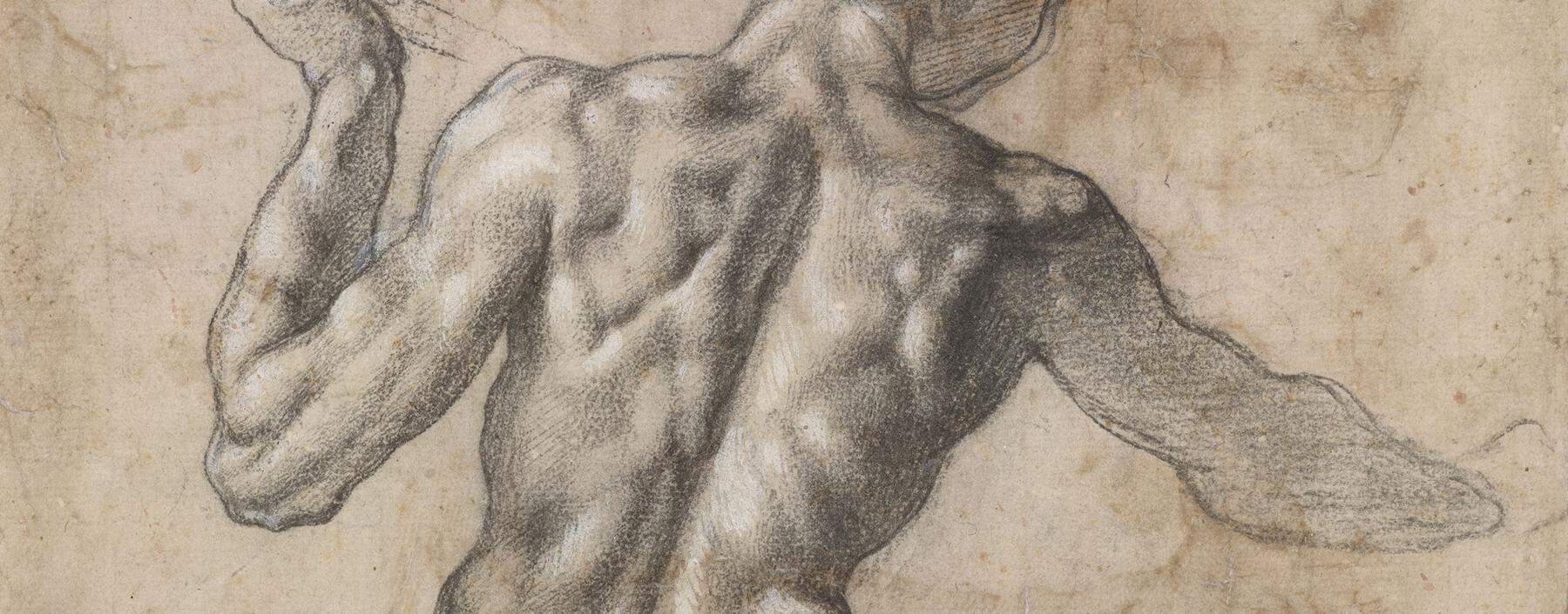 Urbild des idealen Männerkörpers: Michelangelos Akte, hier ein Prachtexemplar um 1504 aus der Albertina-Sammlung. 