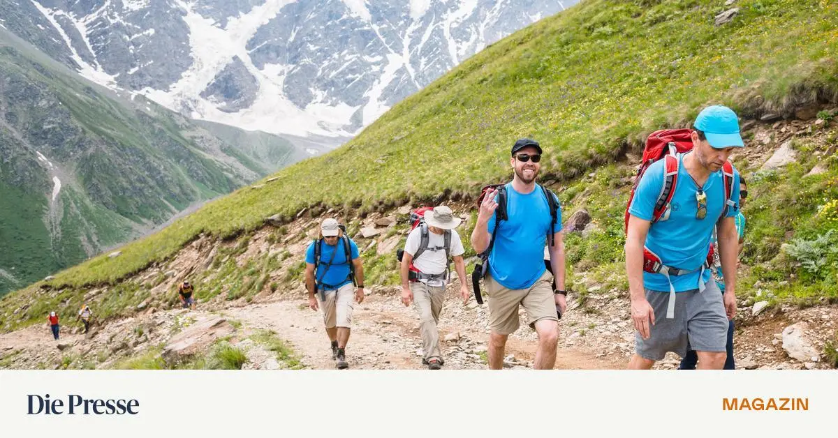 Almauftrieb-am-Wanderweg-Nach-hundert-Gria-di-ist-dann-Schluss-premium-