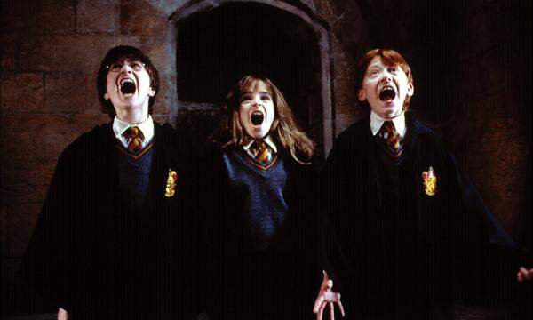 Daniel Radcliffe, Emma Watson und Rupert Grint setzten Maßstäbe als Harry, Hermine und Ron