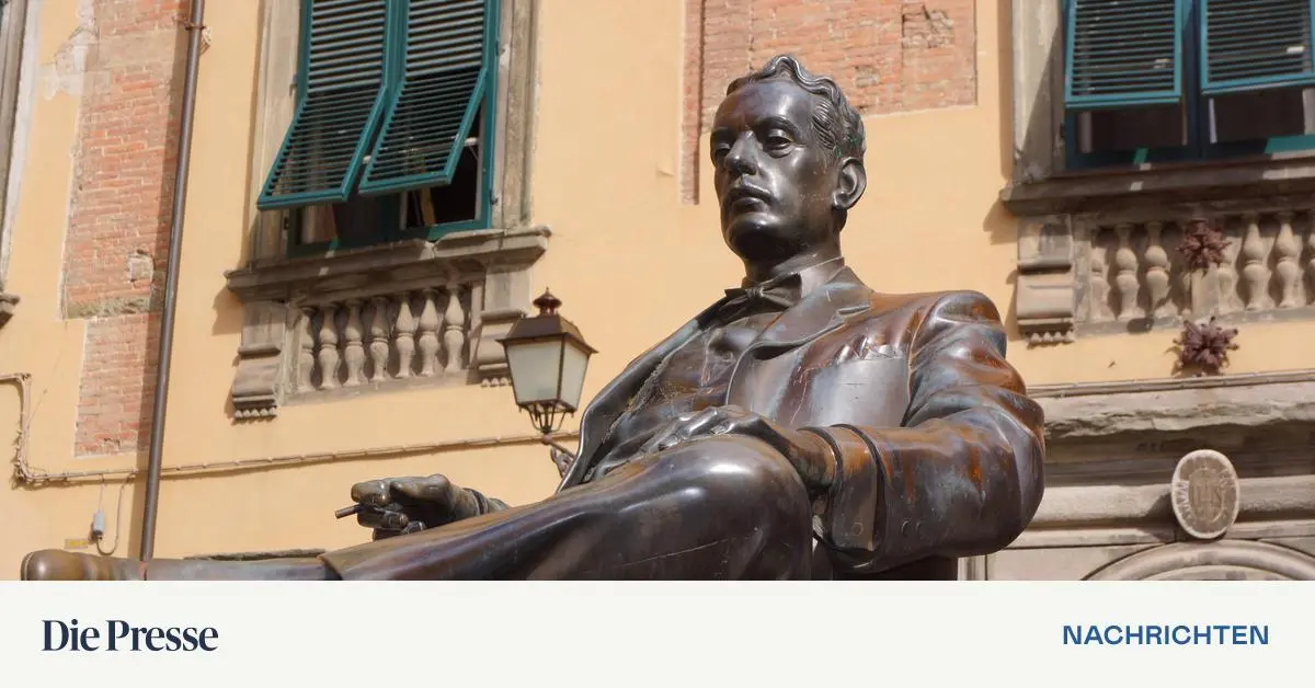 Hatte-diese-Madama-Butterfly-einfach-einen-schlechten-Tag-premium-