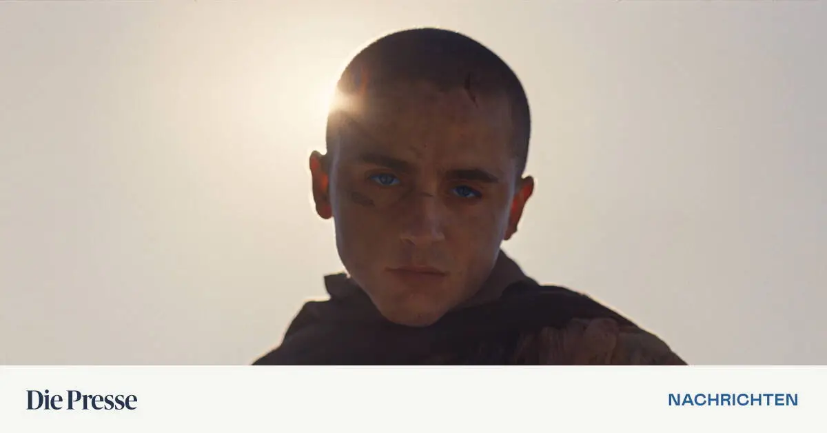 Trailerschau-Dune-geht-ins-Finale-Spider-Man-macht-den-Neuanfang