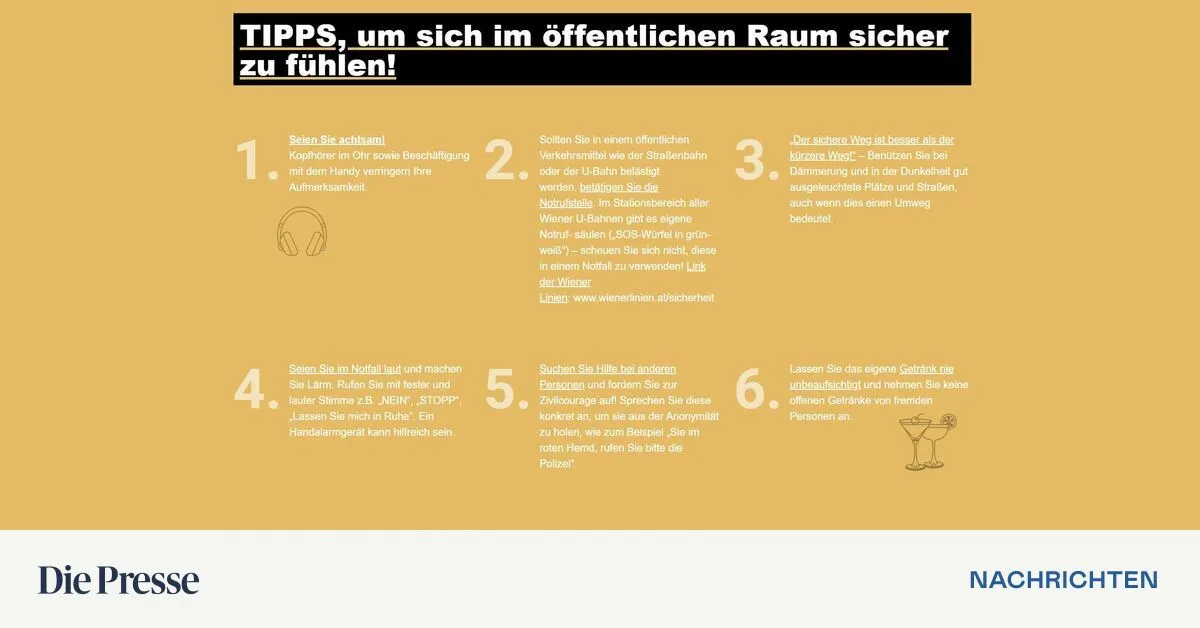 -Siezen-Sie-einen-Gef-hrder-Wie-sich-die-VP-Wien-den-Kampf-gegen-Gewalt-an-Frauen-vorstellt