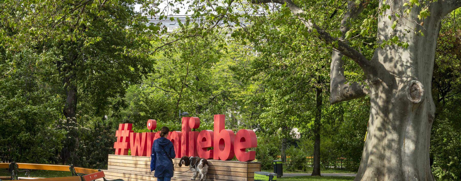 Nicht alle, die hier leben, verspüren die ganz große Wien-Liebe, es gehört fast zum Leben hier dazu, über die Stadt zu sudern.