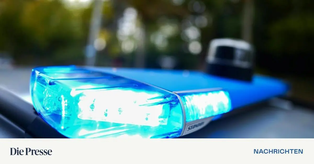 26-J-hriger-nach-Vergewaltigung-auf-offener-Stra-e-in-Wien-festgenommen