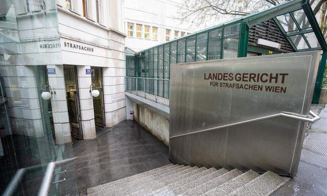 Der Schöffensenat am Wiener Landesgericht für Strafsachen glaubte der Großmutter und befand den Jugendlichen für schuldig.