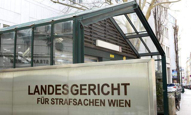 Ein 44-Jähriger musste sich am Wiener Landesgericht für Strafsachen verantworten.