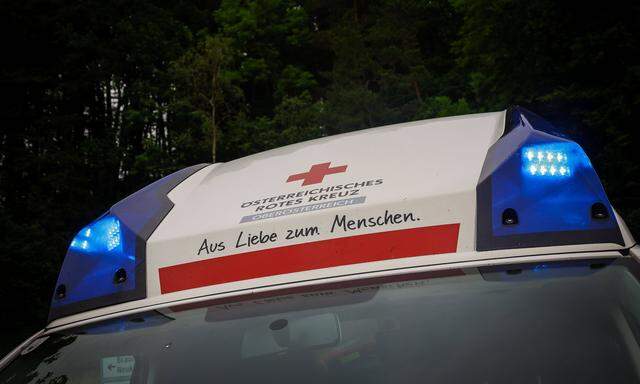 Rettungskräfte brachten den Lenker des Lkw ins Spital nach St. Pölten.