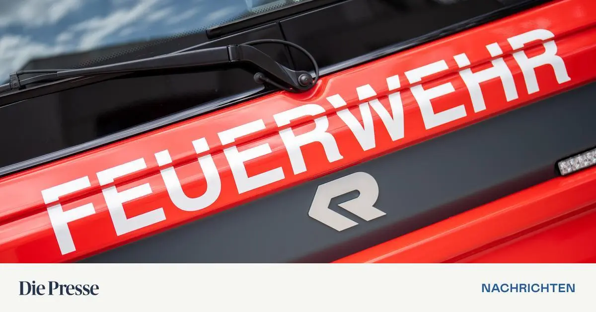 Mann-im-Strandbad-Alte-Donau-von-Berufsfeuerwehr-gerettet