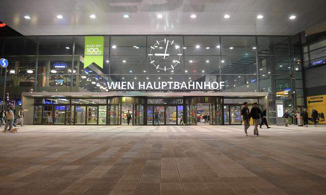 Der Jugendliche brach seine Anschlagspläne am Wiener Hauptbahnhof im letzten Moment ab.