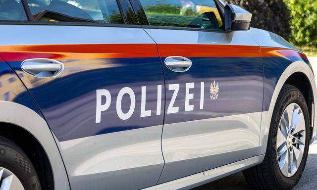 Die beiden Jugendlichen wurden an der slowenischen Grenze österreichischen Polizeibeamten übergeben.
