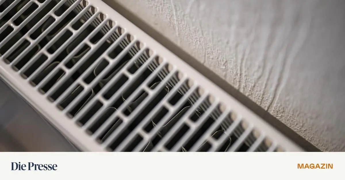 L-sst-sich-der-Tausch-der-Heizung-erzwingen-premium-