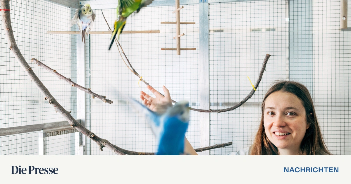 -Polly-will-Keks-Papageien-nutzen-gezielt-Namen