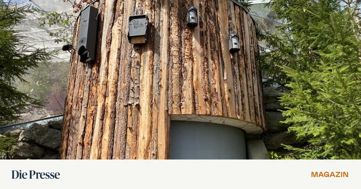 Insektentr-nke-und-Fledermausbox-Leichte-Ma-nahmen-f-r-alle-premium-