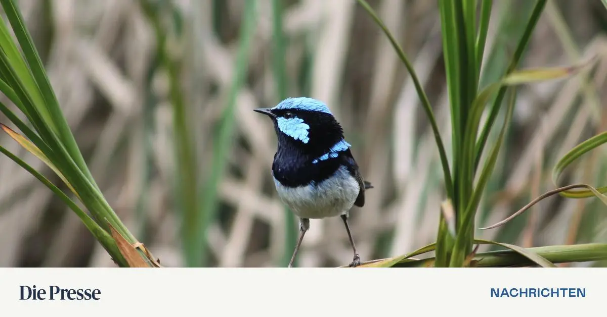 Wissen-in-K-rze-Heimische-Forschung-zu-Naturschutz-und-Klima