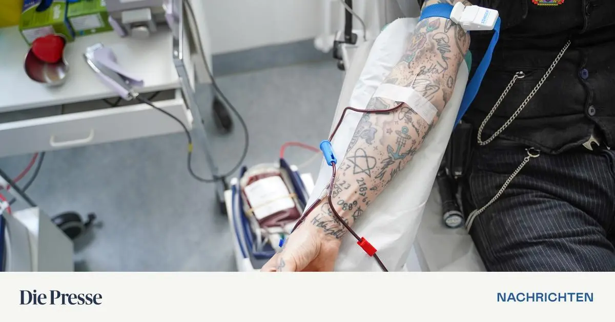 Die-Immunzellen-gegen-Krebs-aufr-sten-premium-