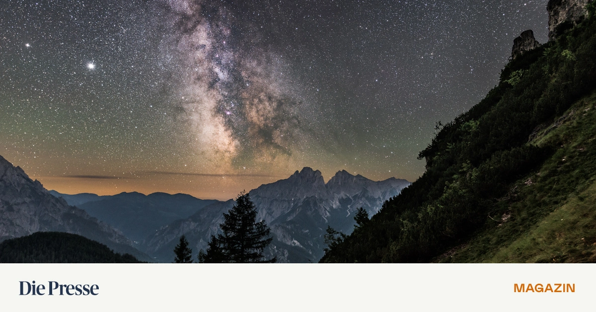 Licht-ins-Dunkel-Unerw-nscht-premium-